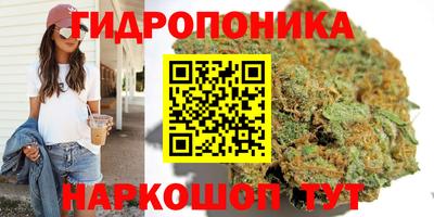 прущие грибы Первоуральск