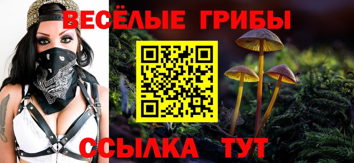 Псилоцибиновые грибы прущие грибы  цены наркотик  Десногорск  Вход с VPN 