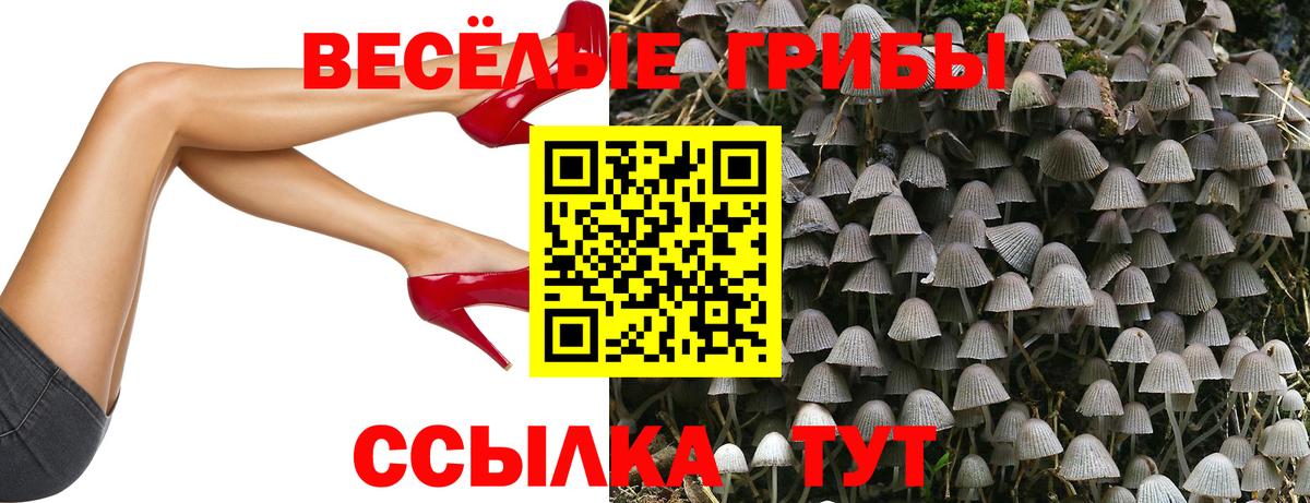 Псилоцибиновые грибы GOLDEN TEACHER Десногорск